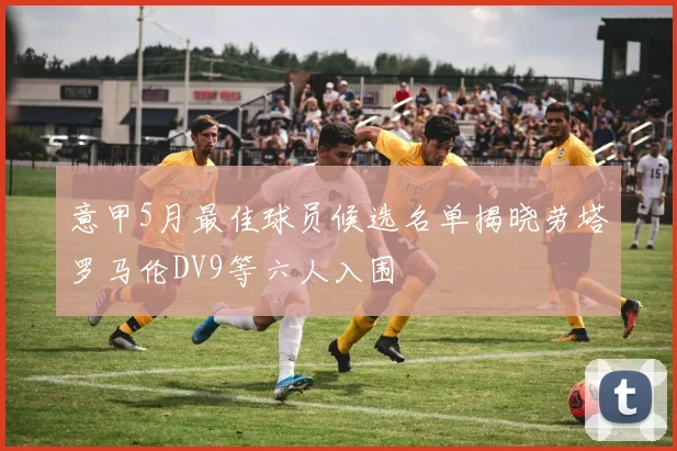 意甲5月最佳球员候选名单揭晓劳塔罗马伦DV9等六人入围
