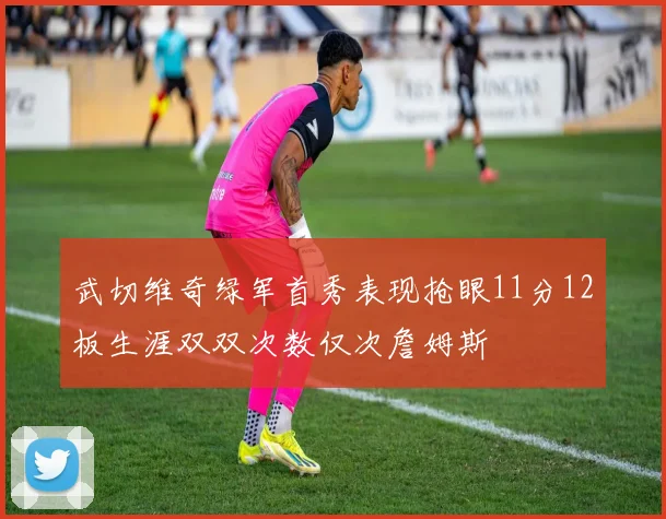 武切维奇绿军首秀表现抢眼11分12板生涯双双次数仅次詹姆斯