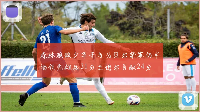 森林狼缺少华子与戈贝尔禁赛仍半场领先雄鹿31分兰德尔贡献24分