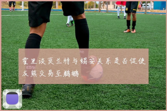 霍里谈莫兰特与锡安关系是否促使灰熊交易至鹈鹕